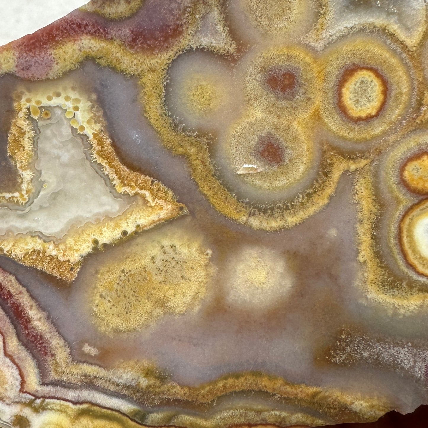 CRAZY LACE AGATE Slab - 165 grams