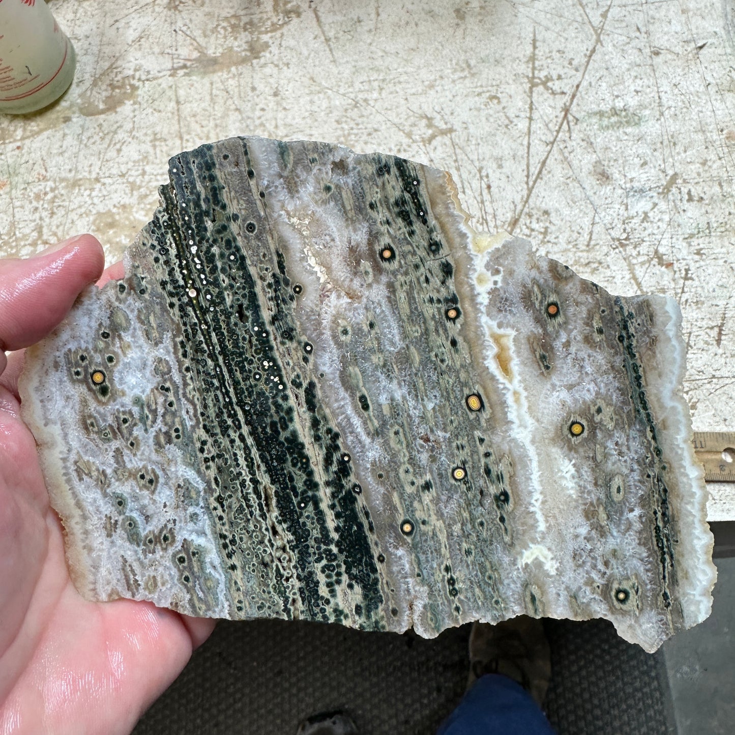 OCEAN JASPER Slab - 299 grams