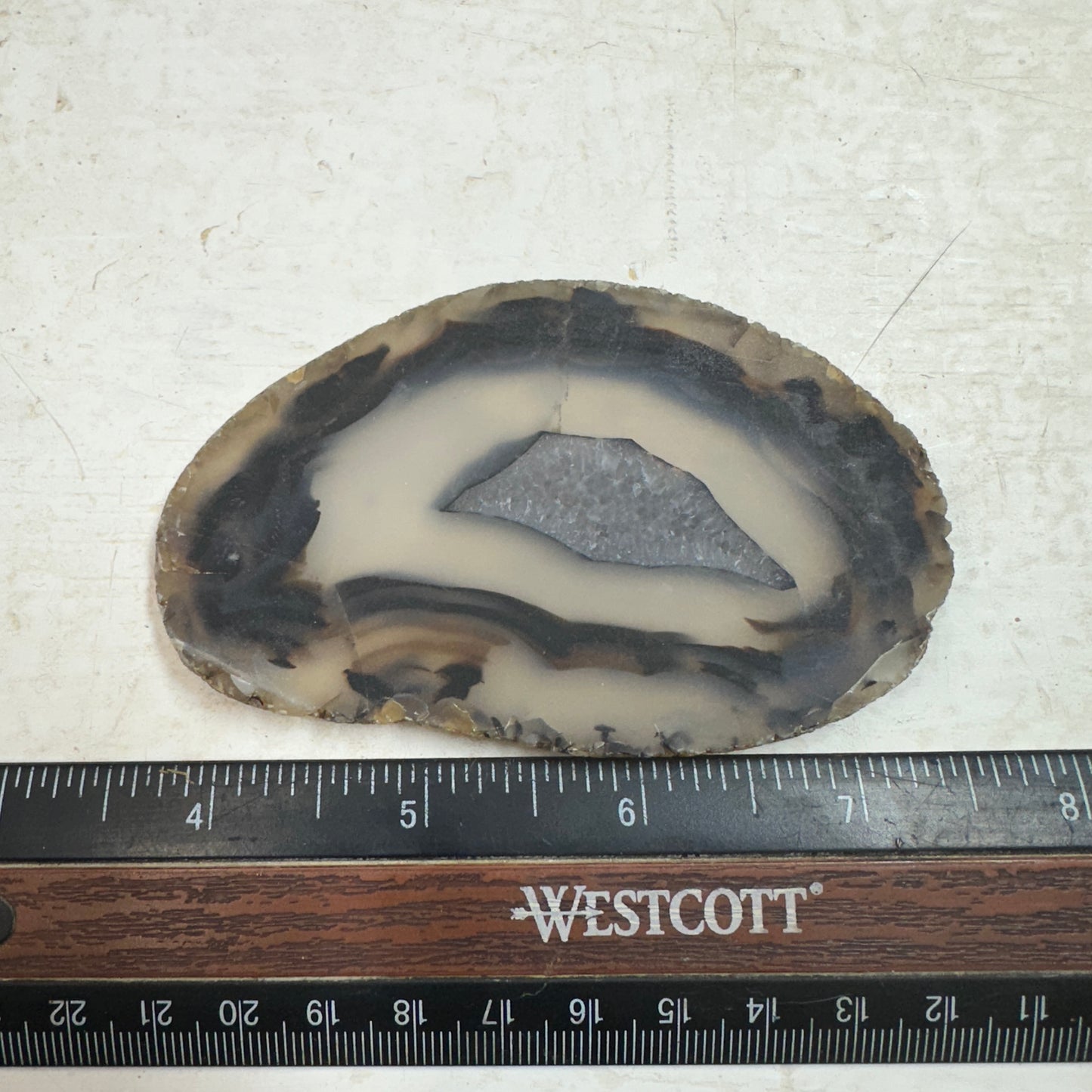 MONTANA AGATE Slab - 62 grams