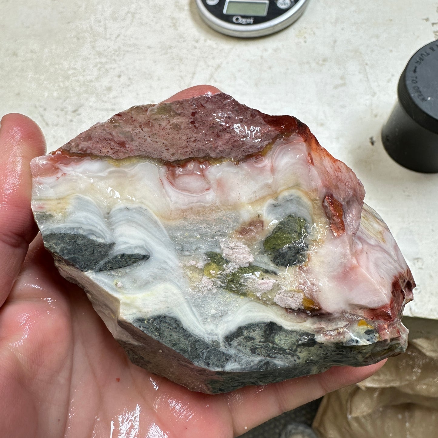 WINDY MOUNTAIN AGATE Rough - 1.40 Pounds