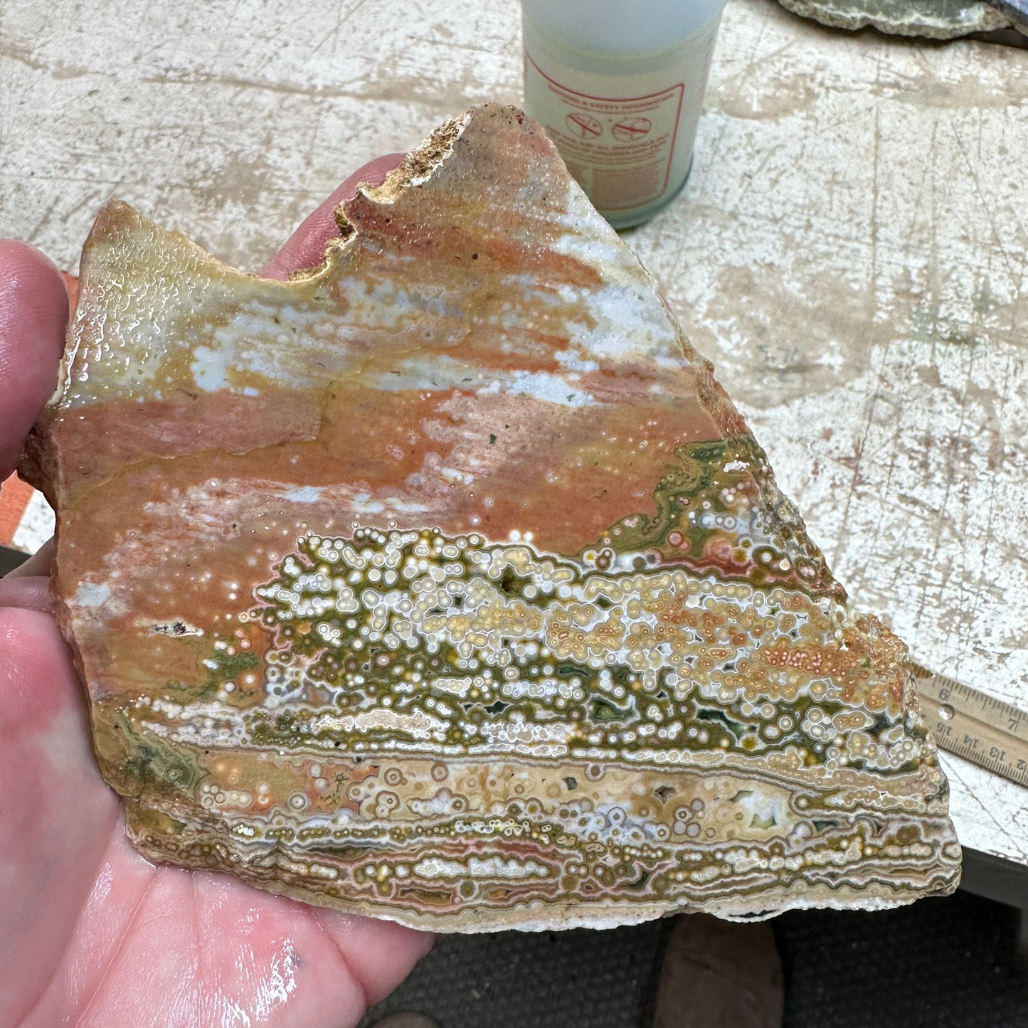 OCEAN JASPER Slab - 234 grams