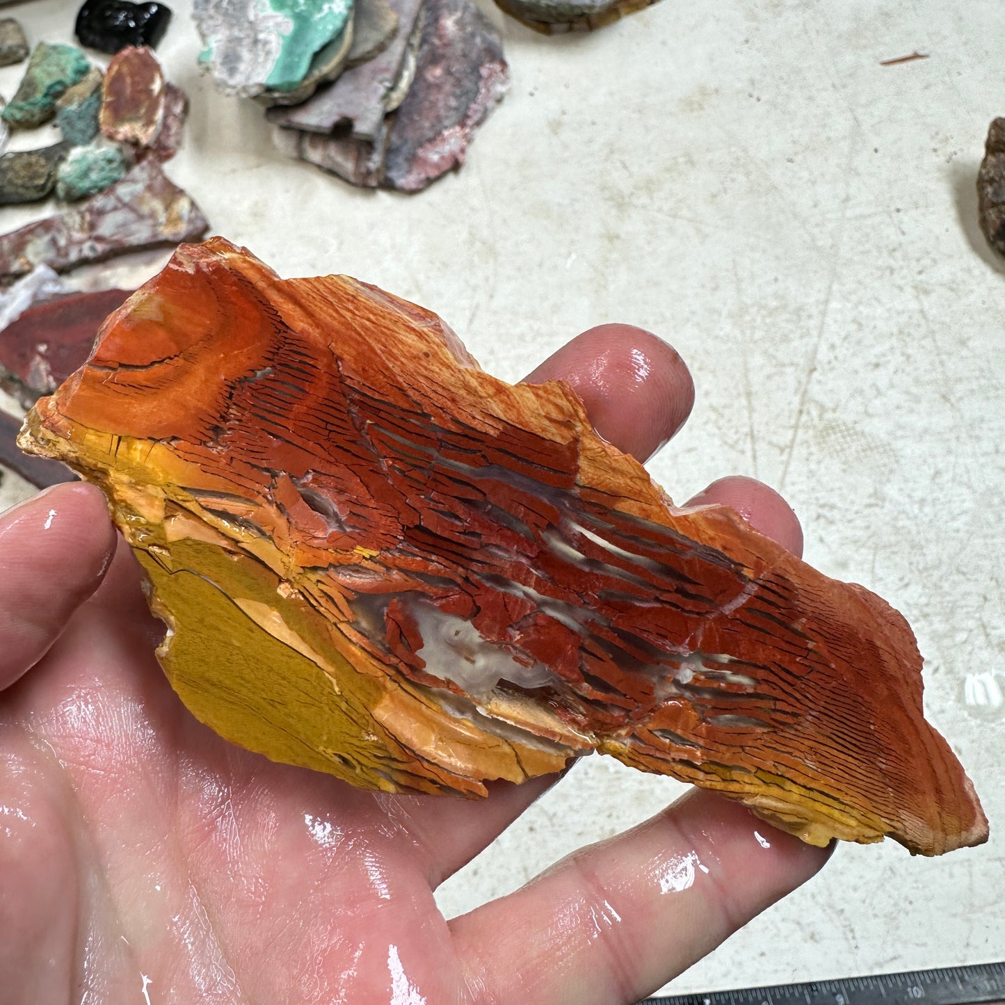 SUNSET HOWARDITE Slab - 73 grams