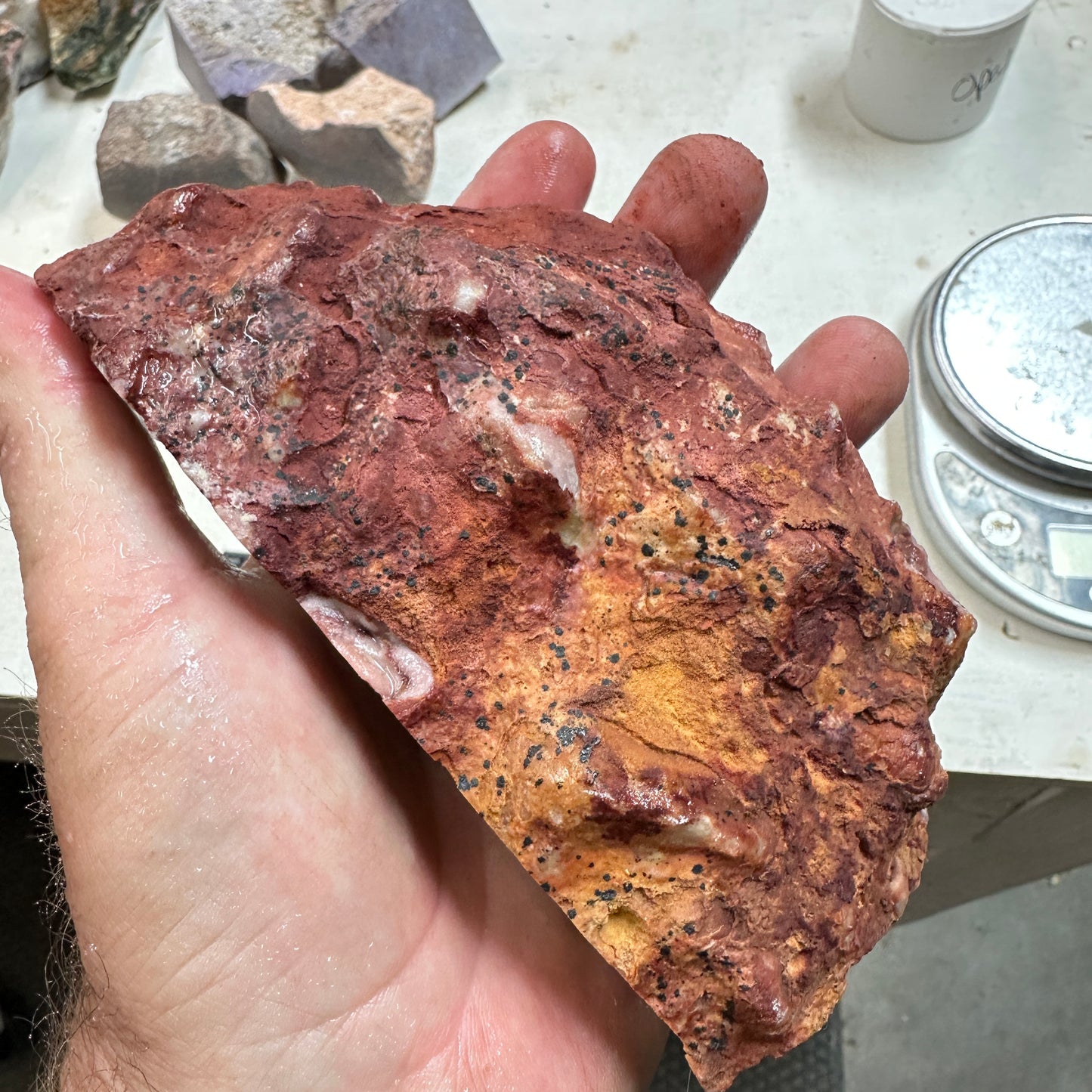 WINDY MOUNTAIN AGATE Faced Rough - 1.72 Pounds