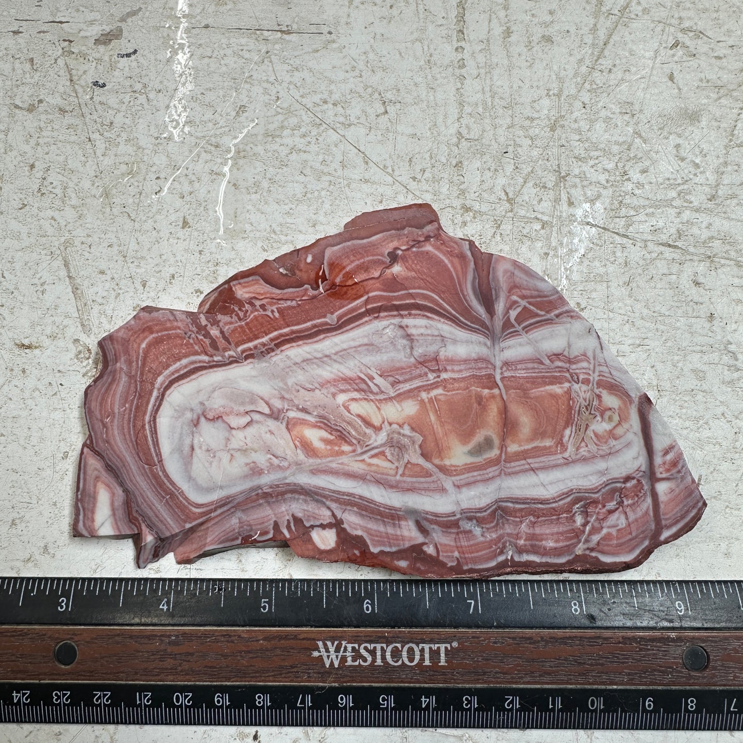 WINDY MOUNTAIN JASPER Slab - 186 grams