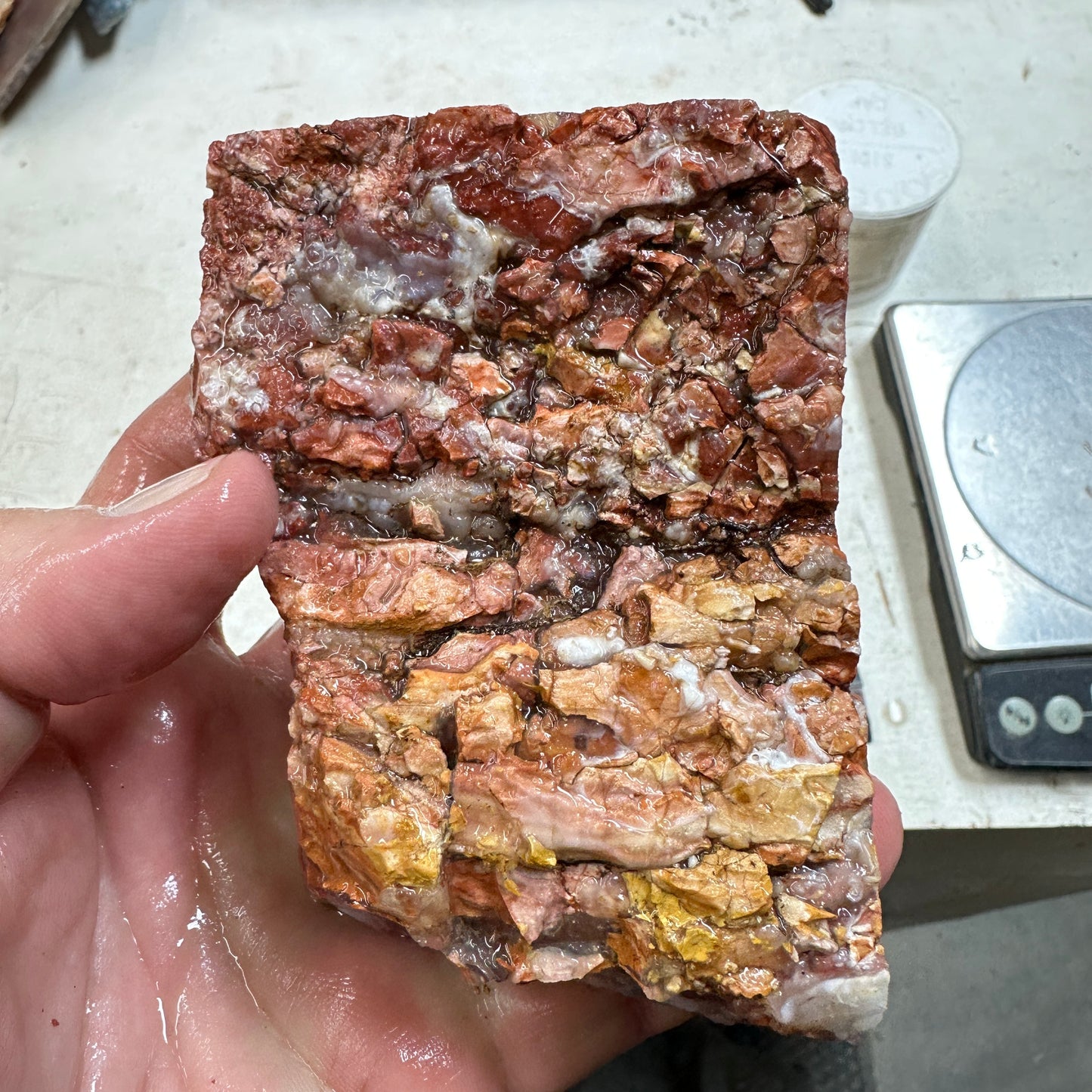 Red HOWARDITE Faced Rough - 16.1ozs