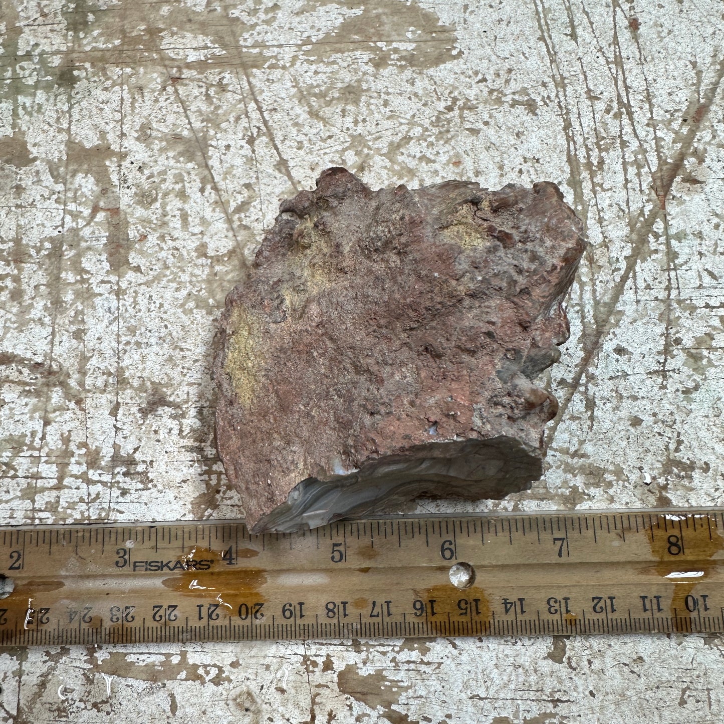 MOROCCAN AGATE Rough - 0.68 Pounds