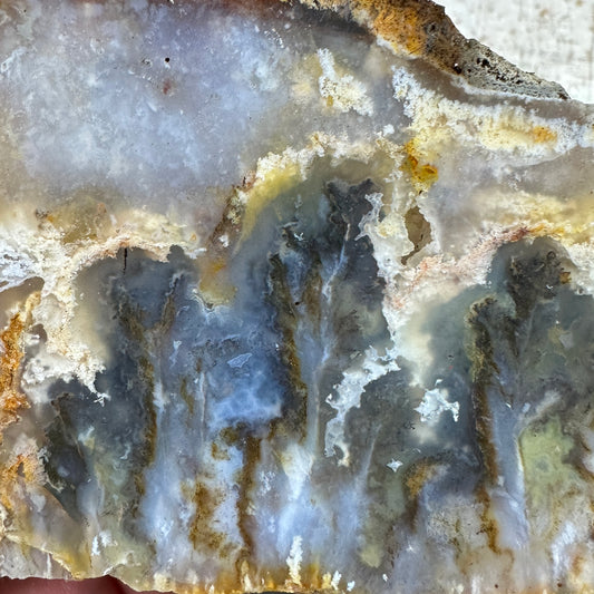 GRAVEYARD POINT PLUME AGATE Faced Rough - 1.78 Pounds