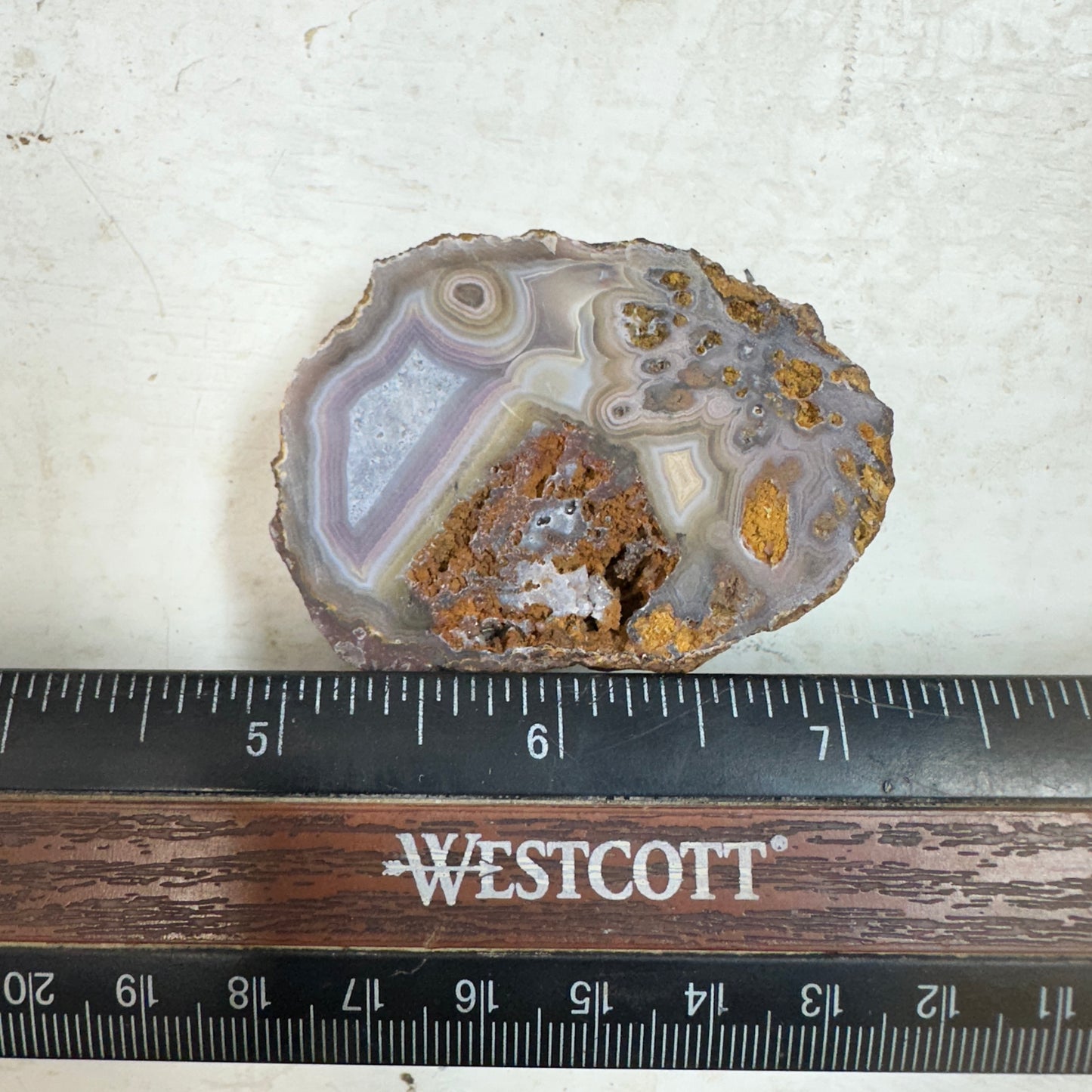 COYOMITO AGATE Rough - 0.20 Pounds