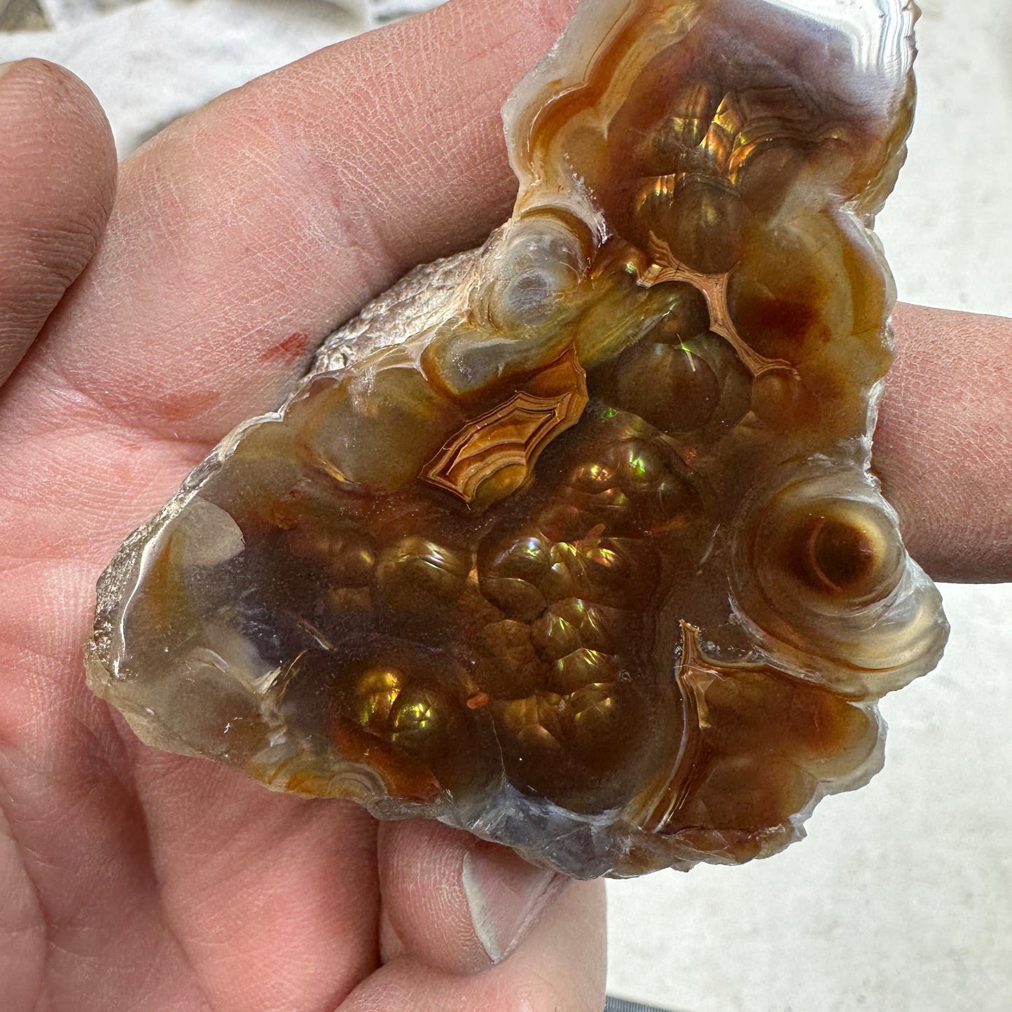 AGUASCALIENTES FIRE AGATE Polished Specimen