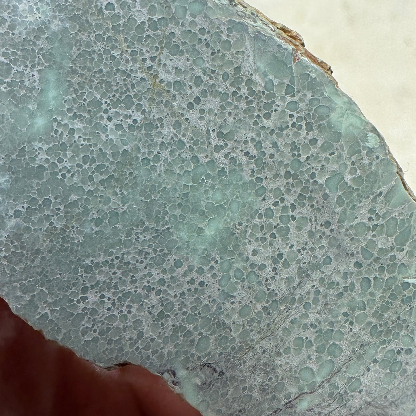 BROKEN ARROW VARISCITE Rough - 228 grams