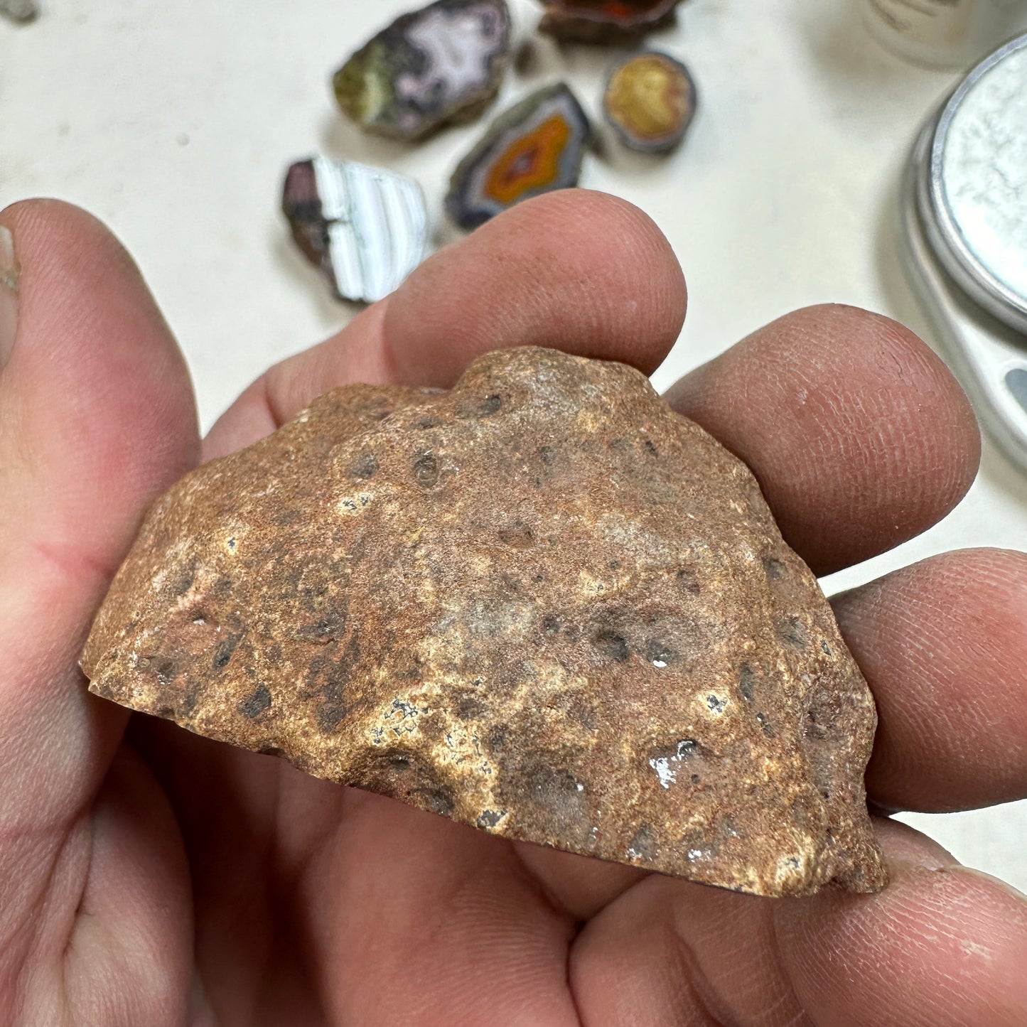 CONDOR AGATE Polished Specimen