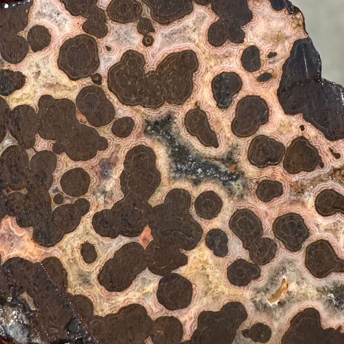 MOROCCAN SEAM AGATE Faced Rough - 0.94 Pounds