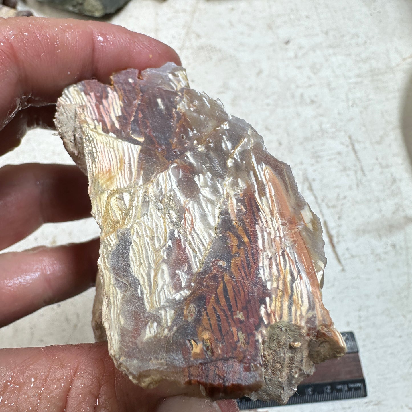 Sunset HOWARDITE Faced Rough - 0.51 pounds