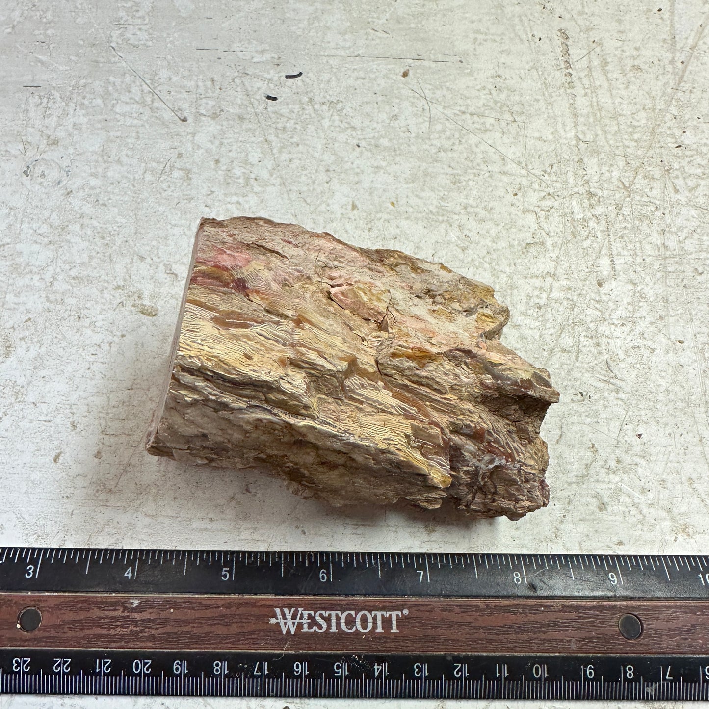 Sunset HOWARDITE Faced Rough - 14.4ozs