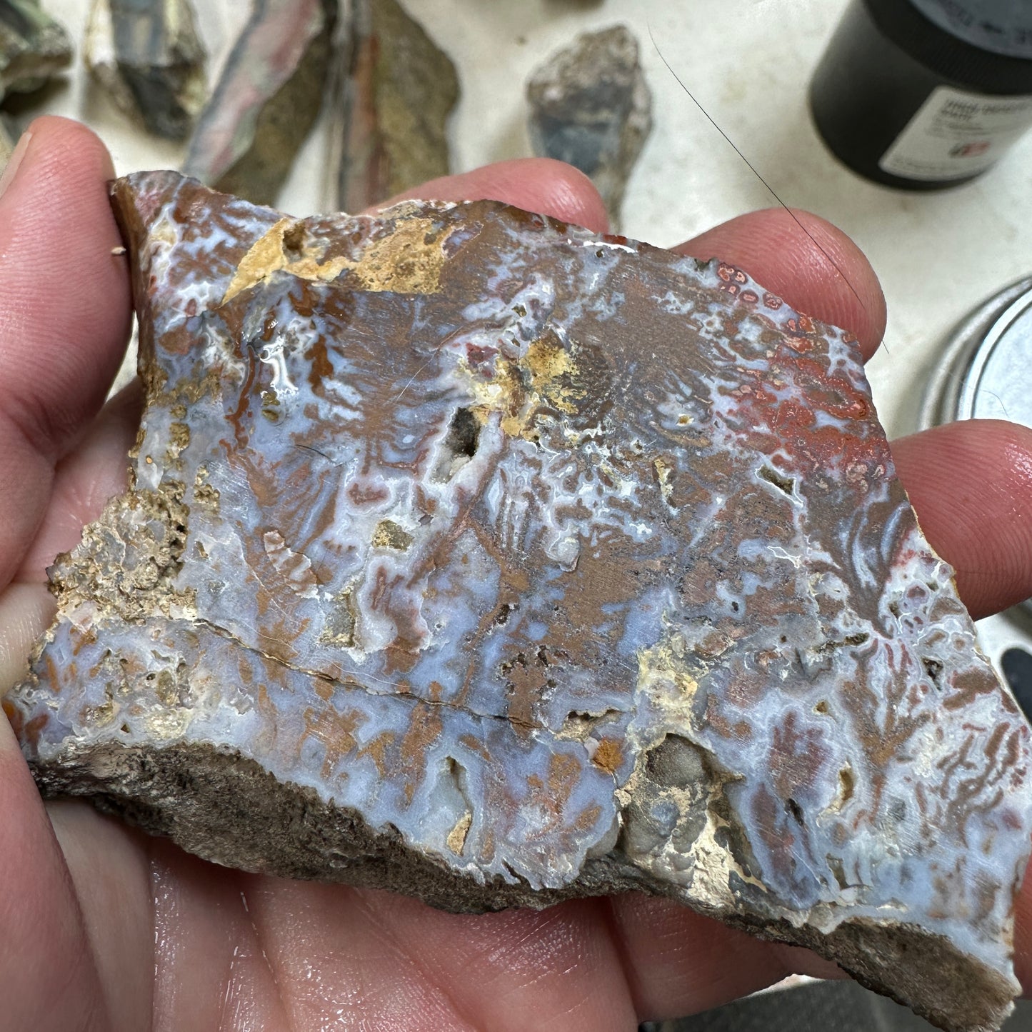 WINGATE PASS PLUME AGATE Windowed Rough - 0.79 Pounds