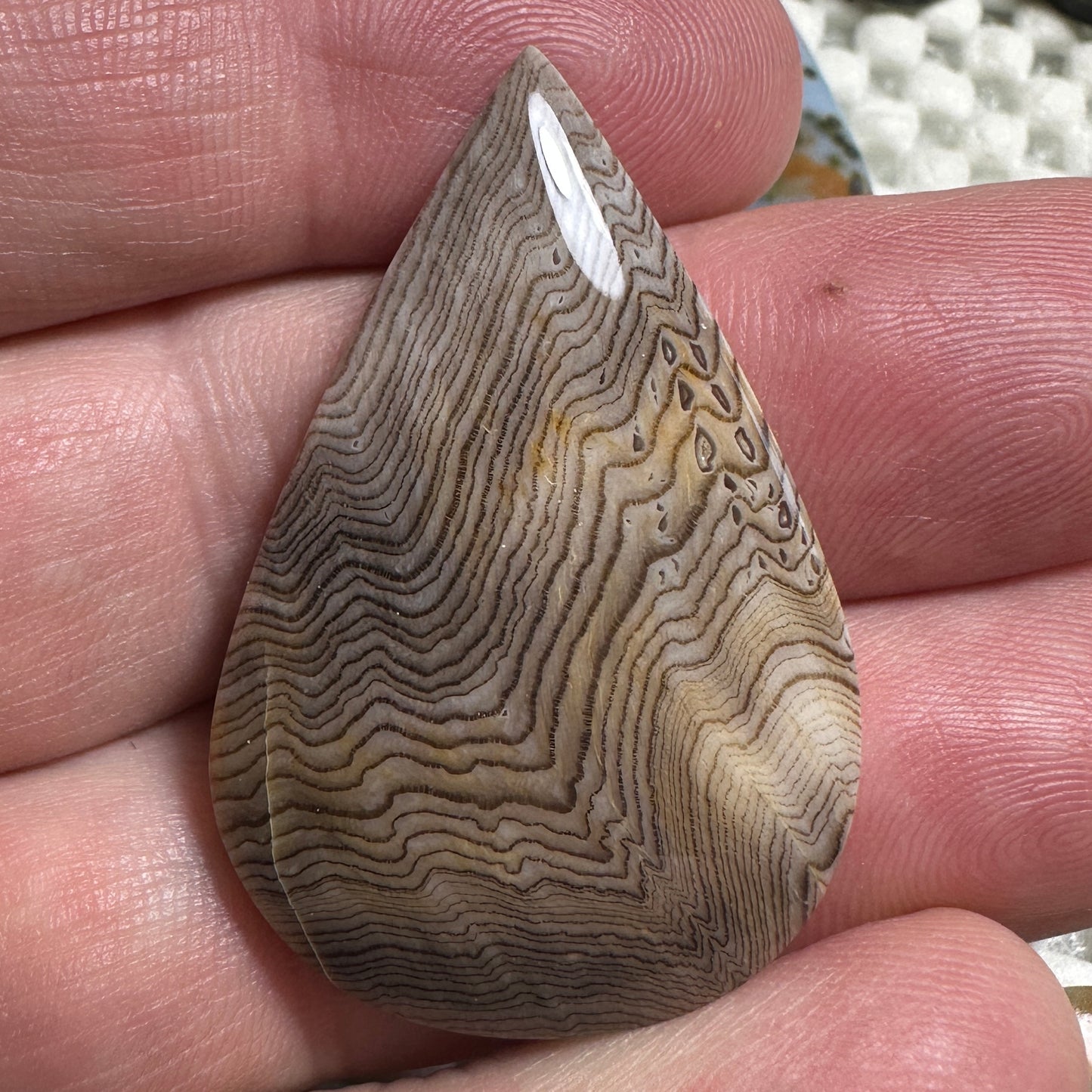 HELLS CANYON HERRINGBONE cabochon