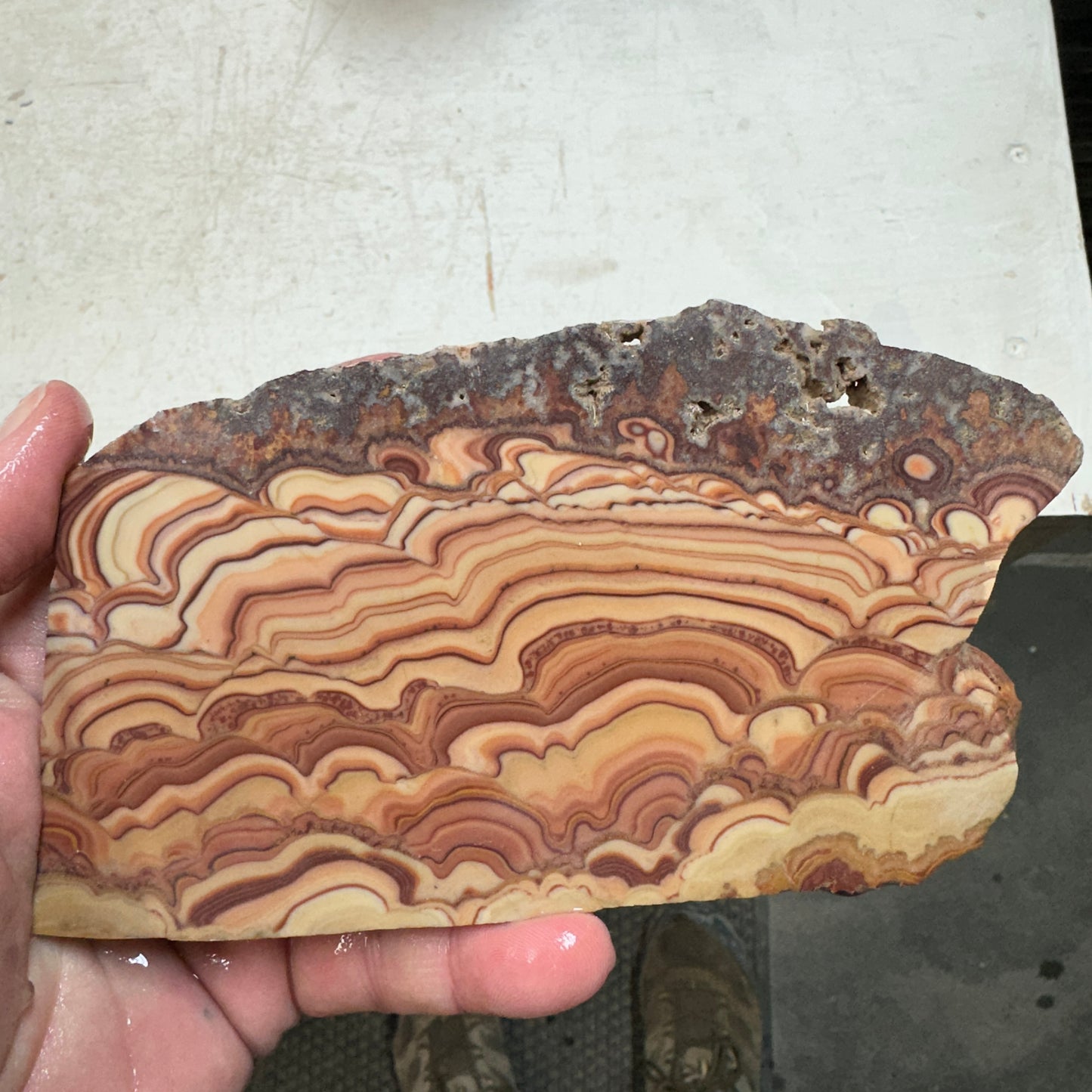 ROLLING HILLS DOLOMITE Slab - 233 grams