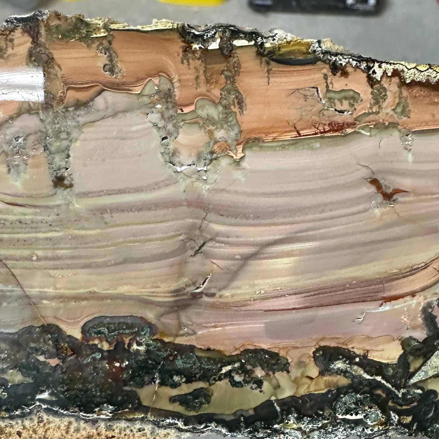BLUE MOUNTAIN JASPER Polished Specimen Slab - 217 grams